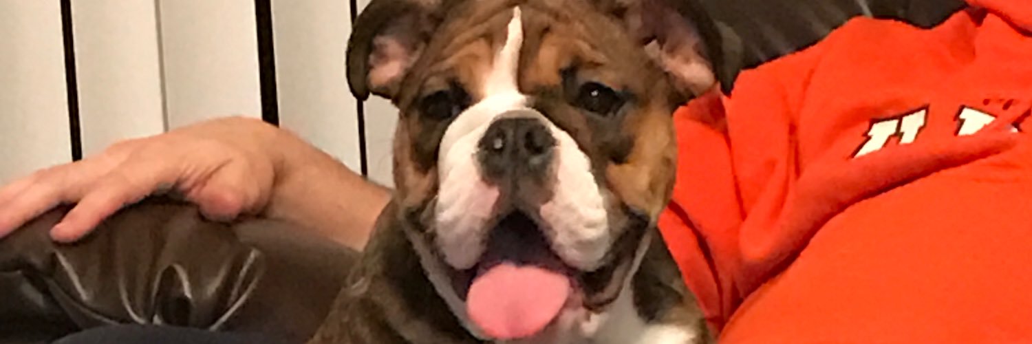 brooke_35's profile banner image