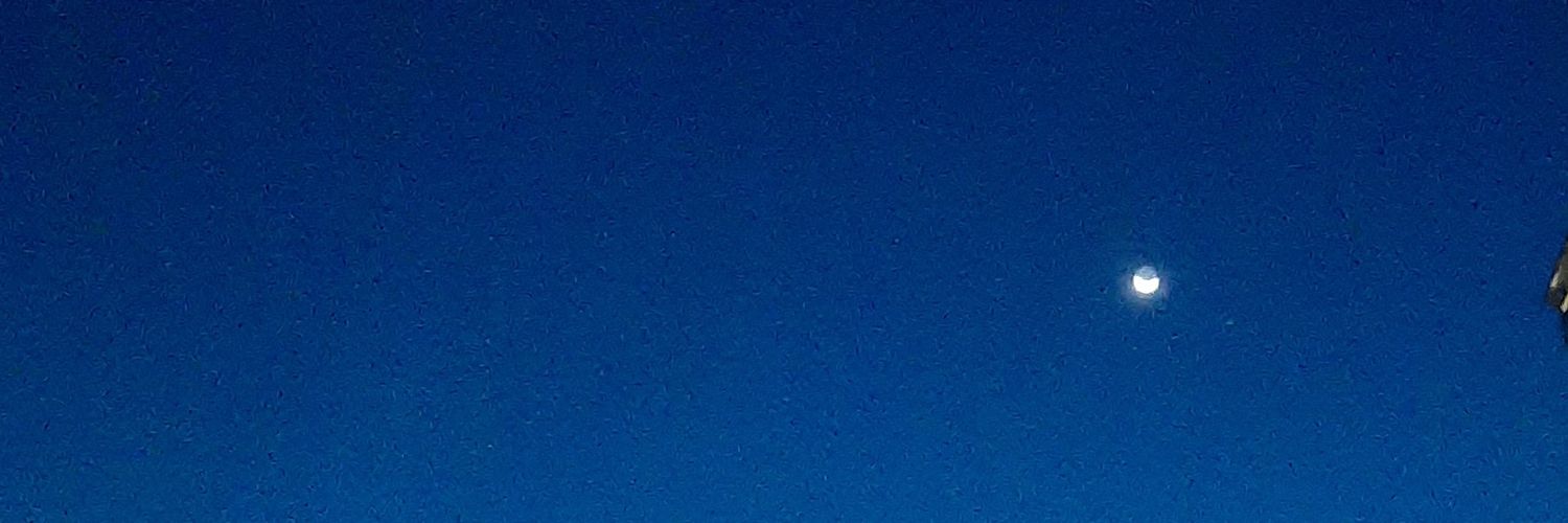navidyudo's profile banner image