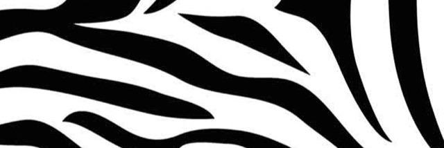 SandroMure's profile banner image