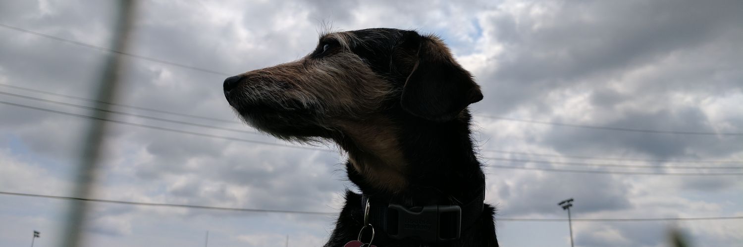 LetsGetPhippsy's profile banner image
