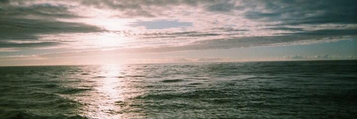 Ferouge's profile banner image