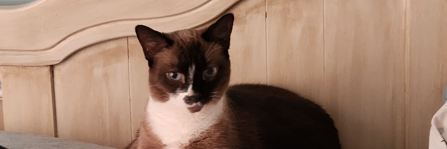 NancyZerr's profile banner image