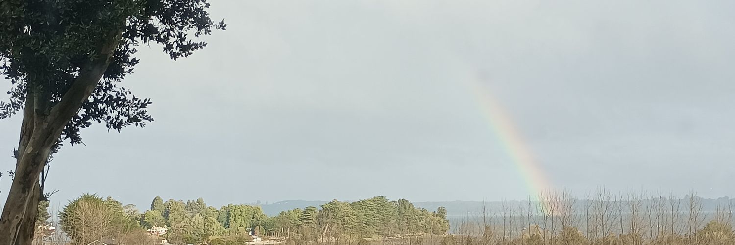COlavarra's profile banner image