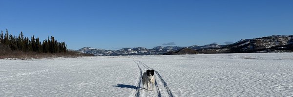 ElynJonesCBC Profile Banner