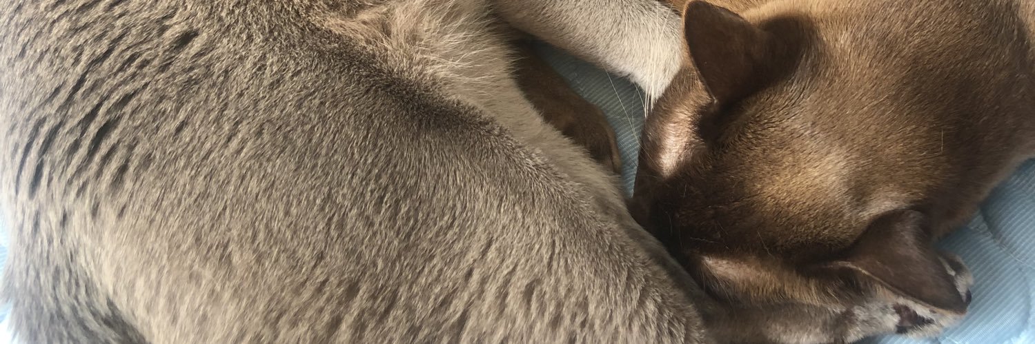 mkragg's profile banner image