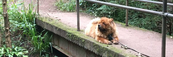 morimu_mu Profile Banner