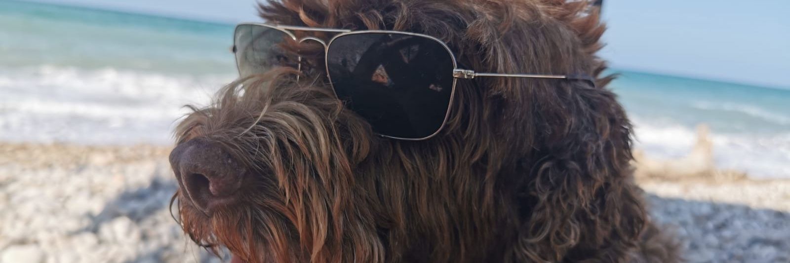 Ugolide's profile banner image