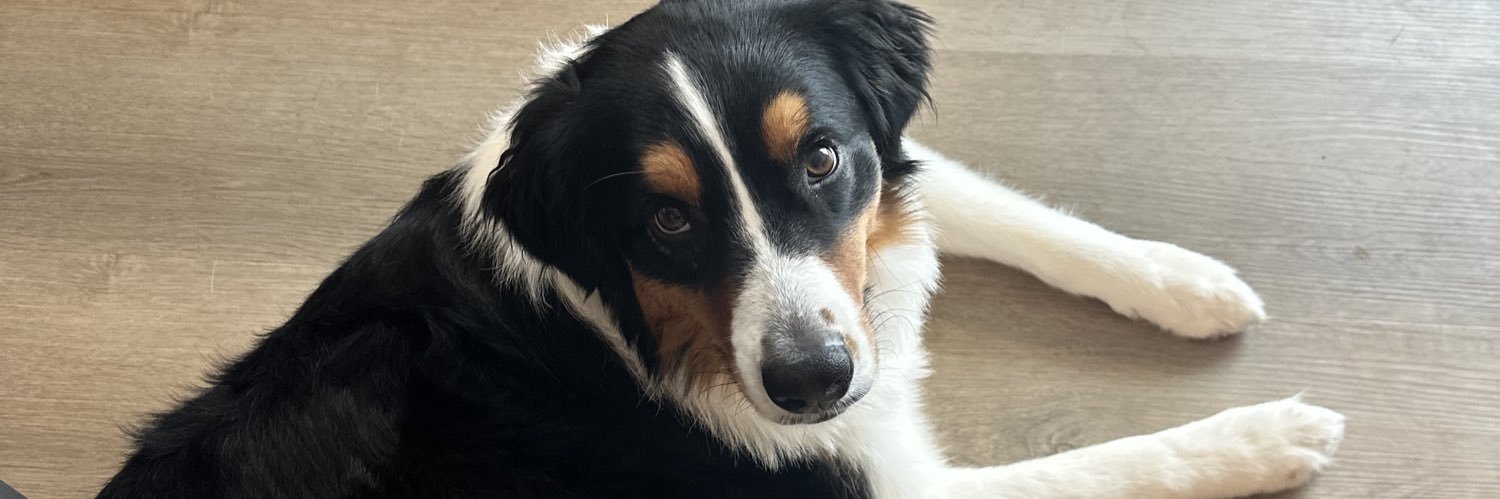 xDoghousex's profile banner image