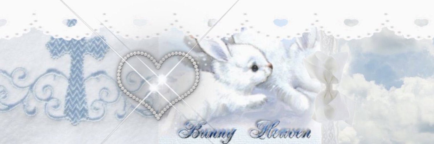 debrruyne's profile banner image