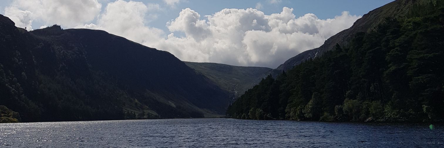 WardNiamh's profile banner image