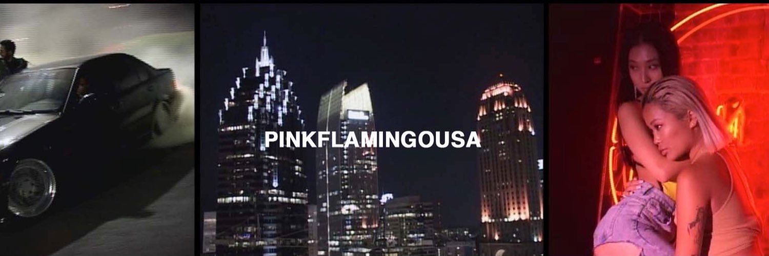 PINKFLAMINGOUSA banner