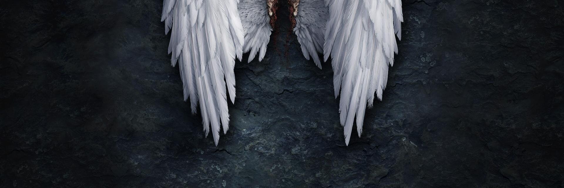 Electra_Asteri's profile banner image