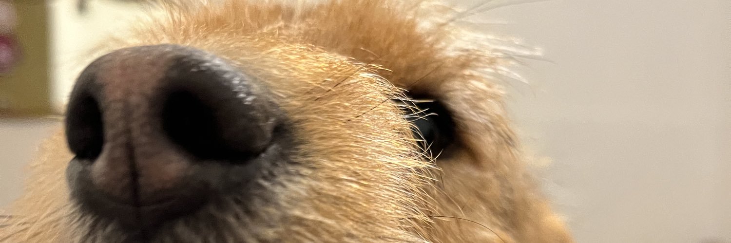 huilengonz's profile banner image