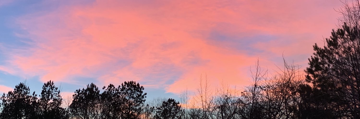 ReannaHolbrook's profile banner image