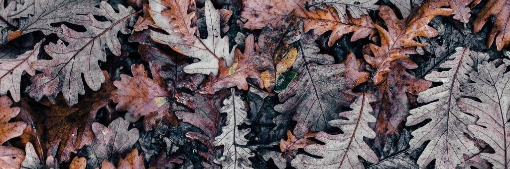 MishellH5's profile banner image