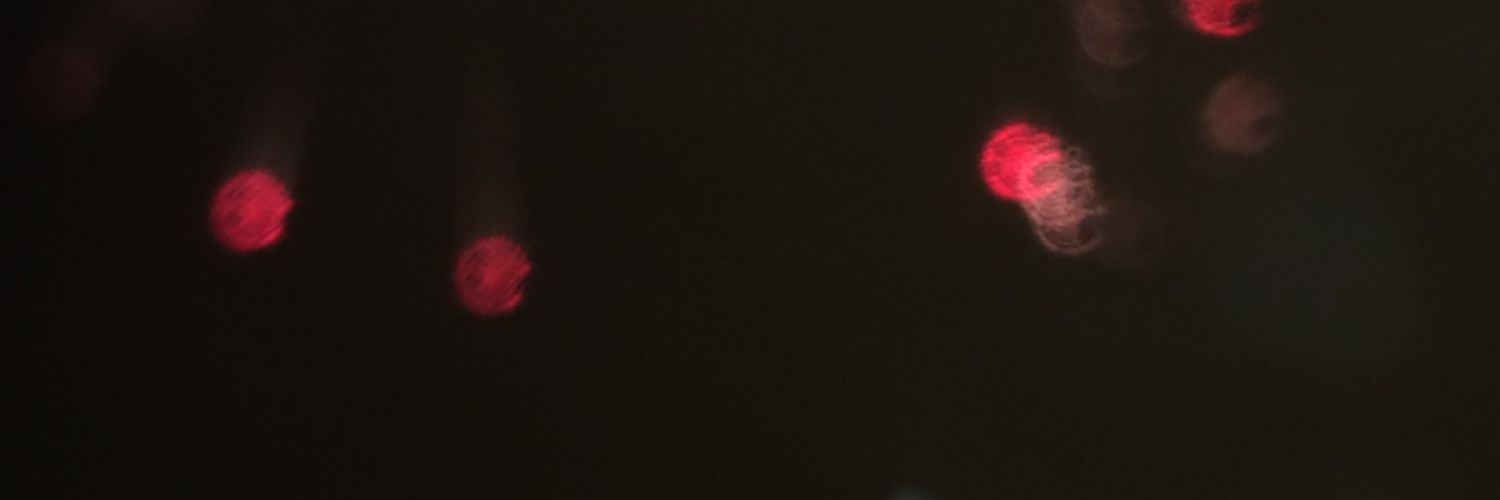 twitaill's profile banner image