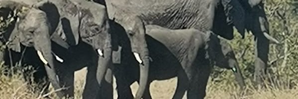 billy1068's profile banner image