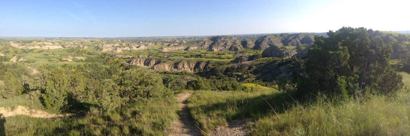 John T. Hoffoss banner