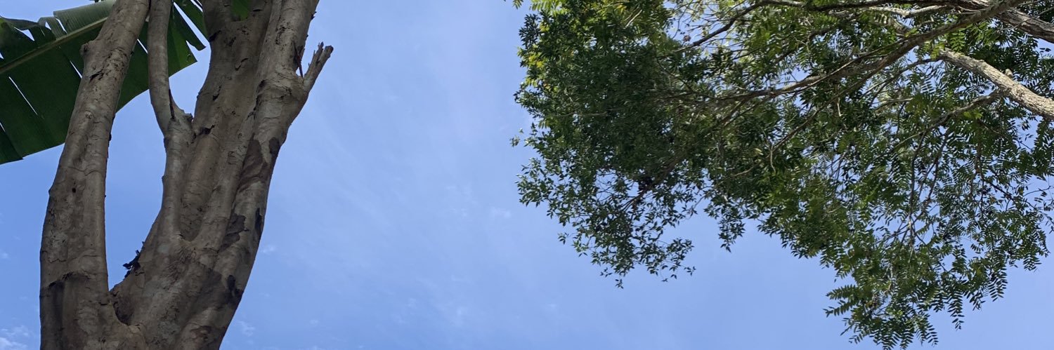 rgorsk01's profile banner image