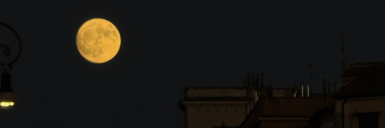 beththorne_'s profile banner image