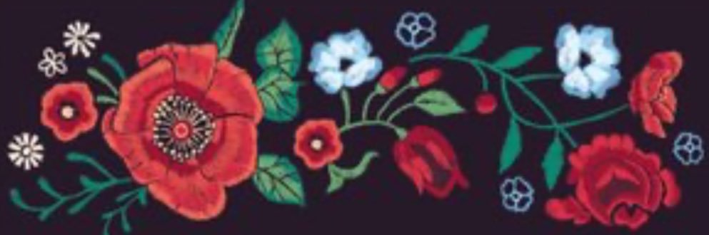Dr. Sandra Song banner
