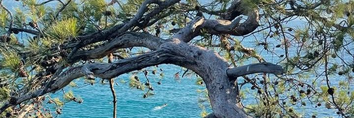 tugbasuzek's profile banner image
