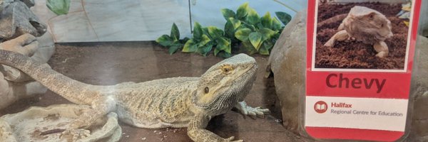 SonjaGoold Profile Banner