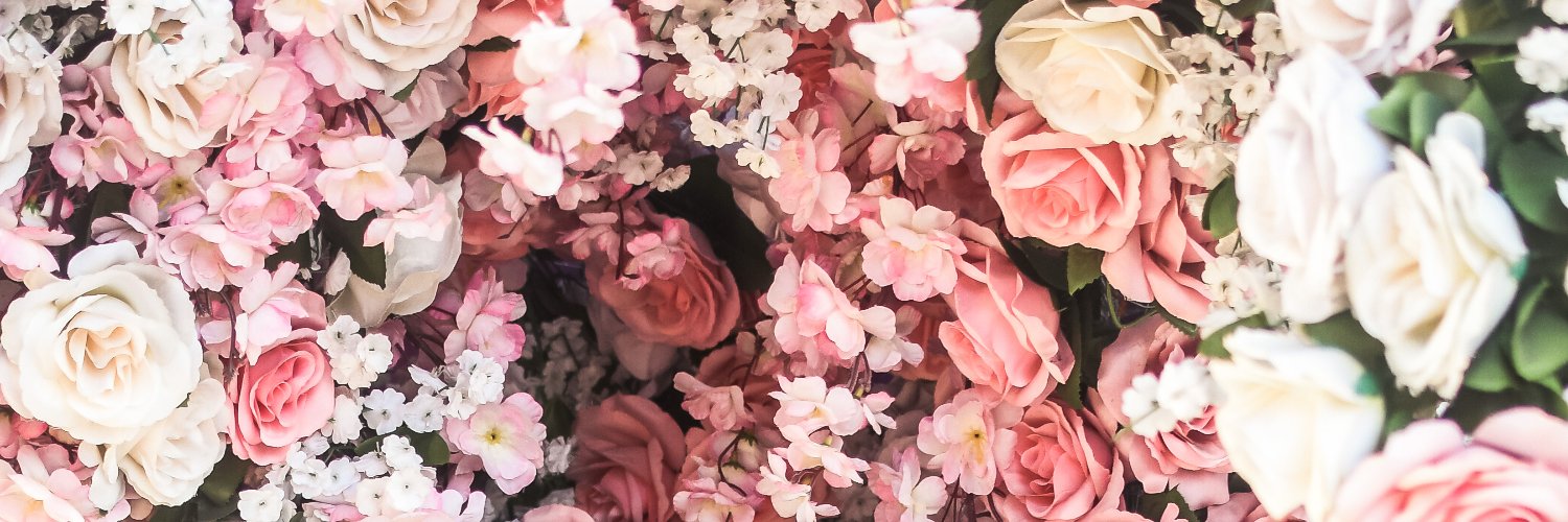 Driadonna.com banner