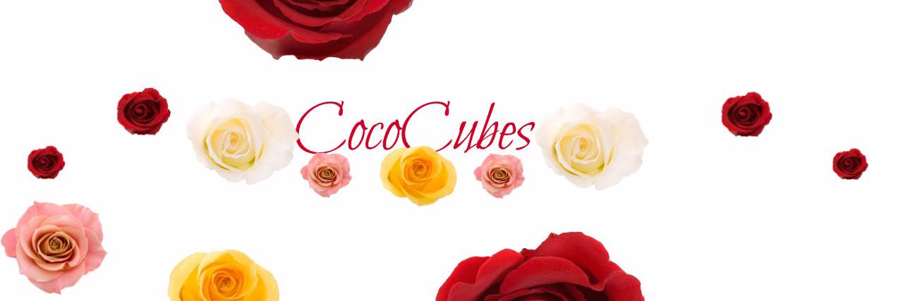 CocoCubes_'s profile banner image