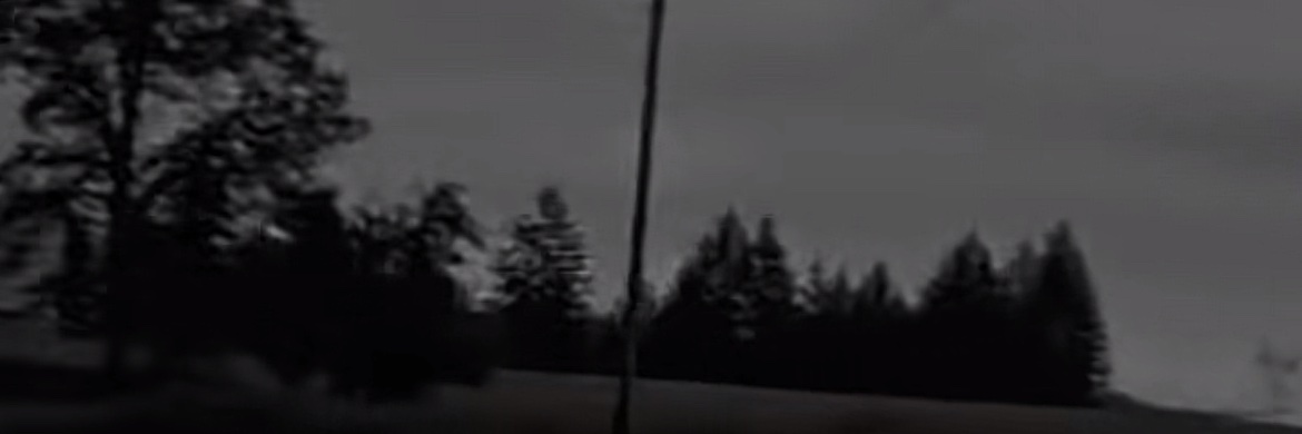 dulcifies's profile banner image