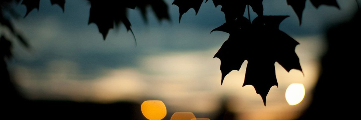 HackerLr7's profile banner image