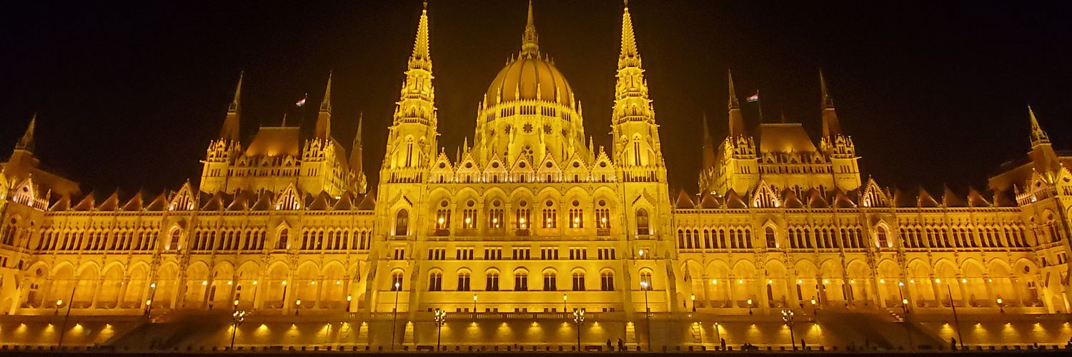 Rebecca Cole Maselli banner