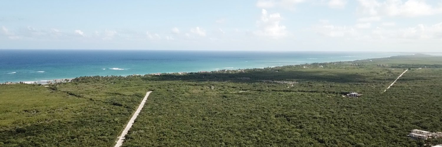 playarealty's profile banner image