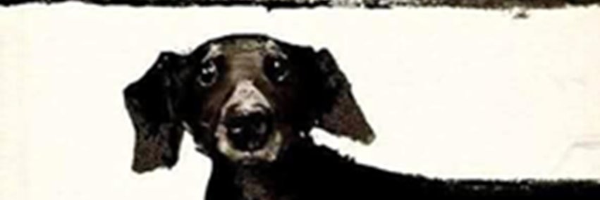 breadman - You should be covered in dog hair banner