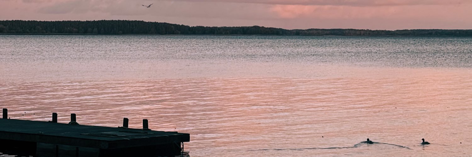 Daniels Bondars banner