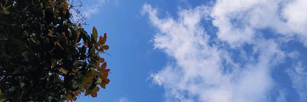 emeaerree's profile banner image