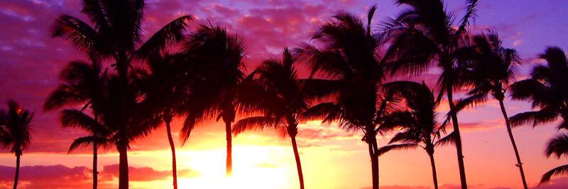 Amanda Morgan banner