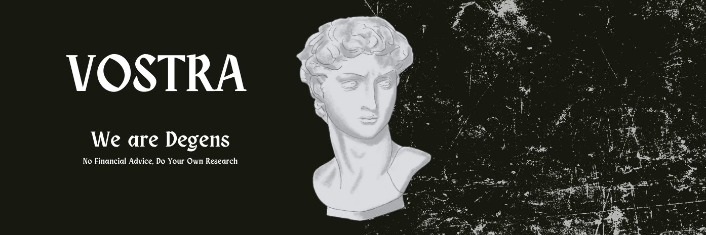 VOSTRA banner