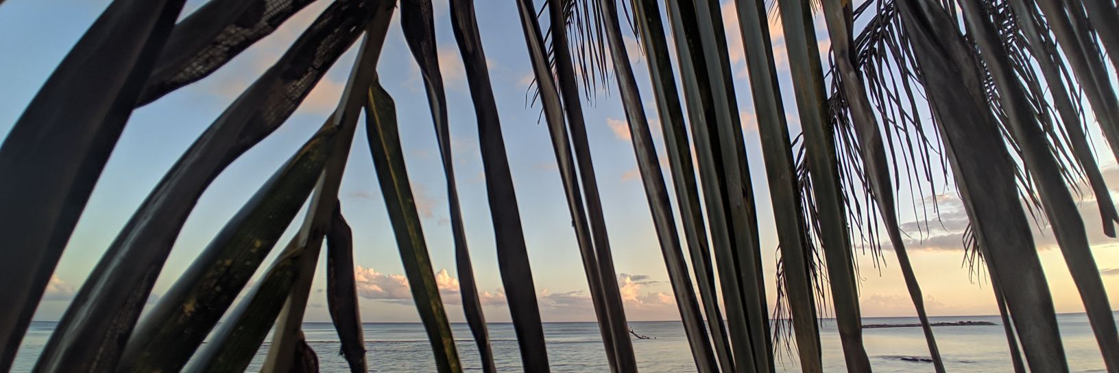 RobertoValentin's profile banner image