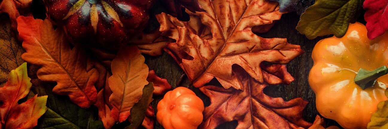 sharirey's profile banner image