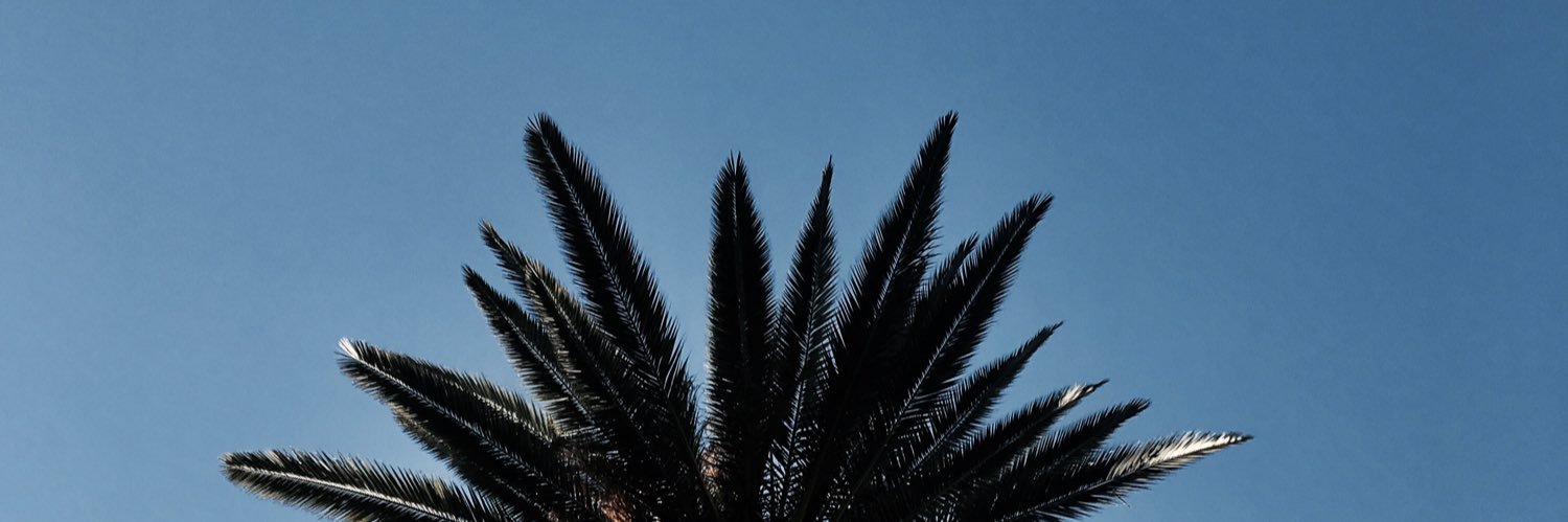 MaasGabriel's profile banner image