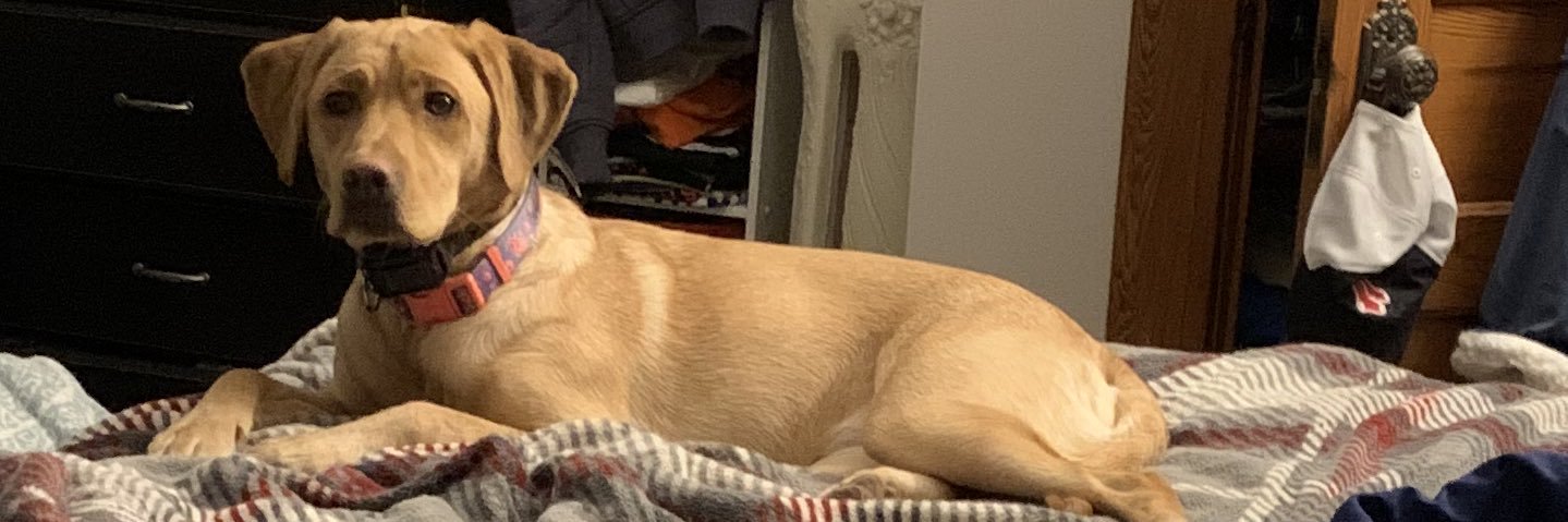chels_carterrr's profile banner image