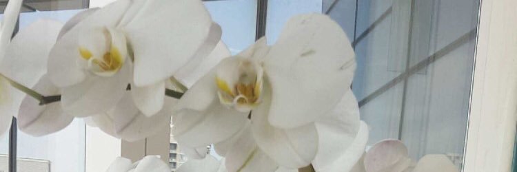 SouadGh's profile banner image