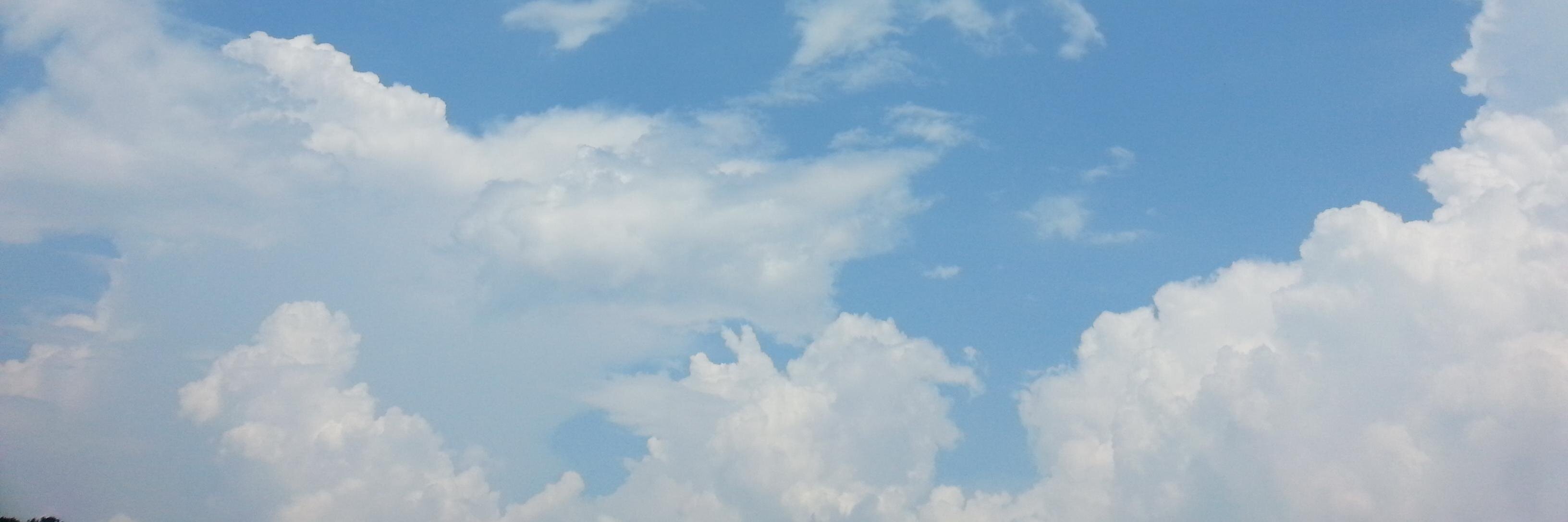 ShadowlandArt's profile banner image
