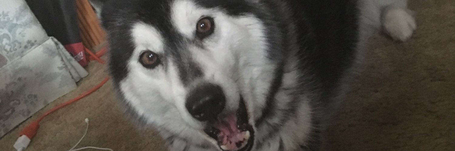billyloftus12's profile banner image