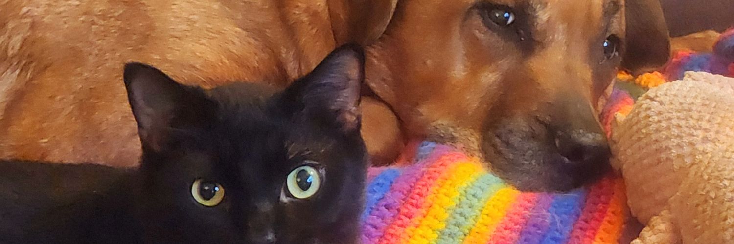 RileyPDawg's profile banner image