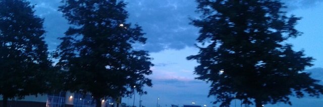 argyri919's profile banner image