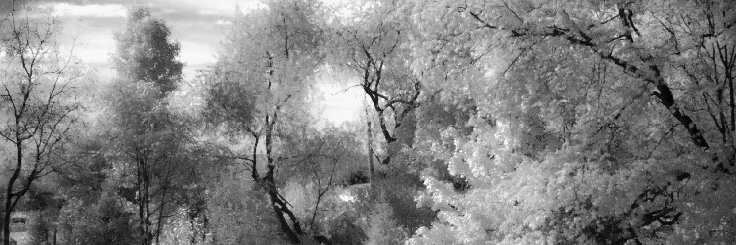 AllergyTele's profile banner image