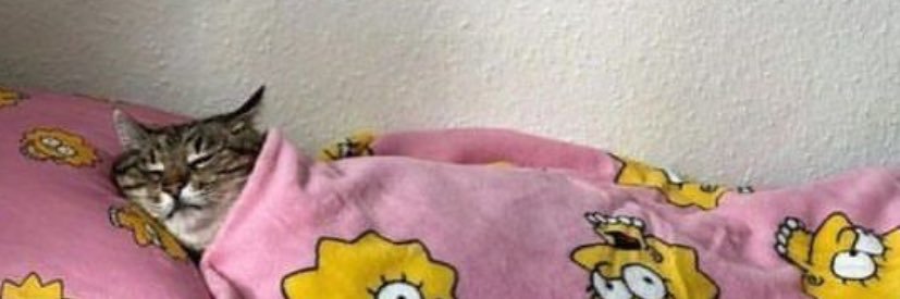 pxtirey's profile banner image