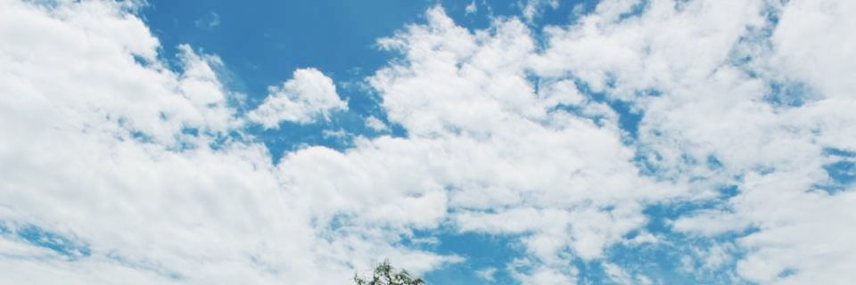 stellaindr's profile banner image